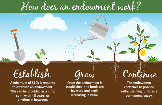 how does an endowment work
