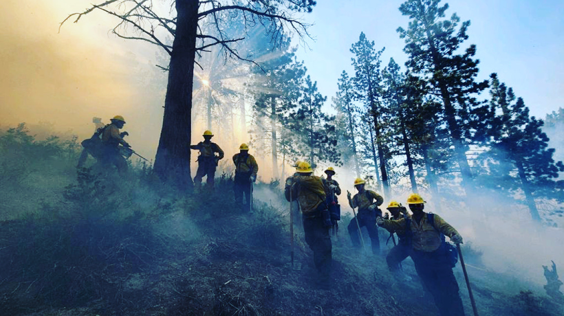 AVC Wildland Firefighters