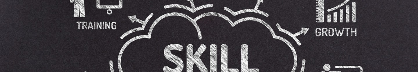 Skill sets and work experience