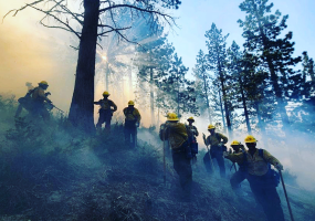 AVC Wildland Firefighters